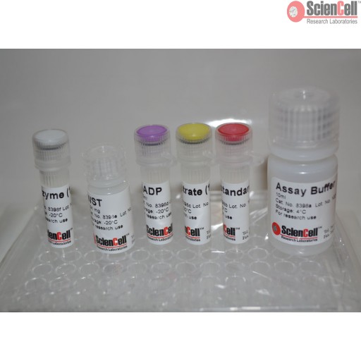 glutathione 7 whitening serum QuantiChrom™ DPPH Antioxidant Capacity Assay Kit