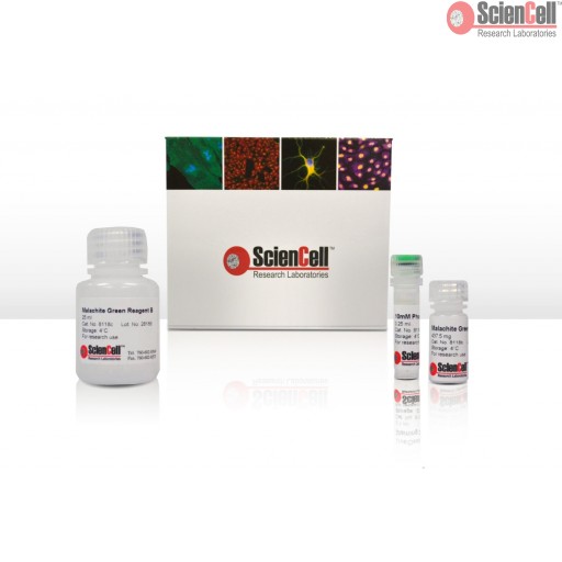Sciencell Metabolism Assay Kit - Team Medical & Scientific Sdn Bhd