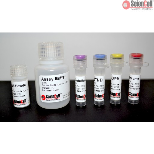 total glutathione quantification kit GSH/GSSG-Glo™ Assay | Measure Ratio of GSH to GSSG main image 1