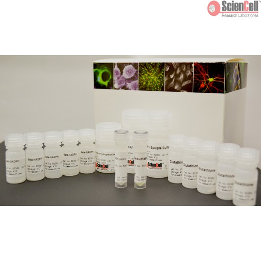 Sciencell Oxidative Stress Assay Kit
