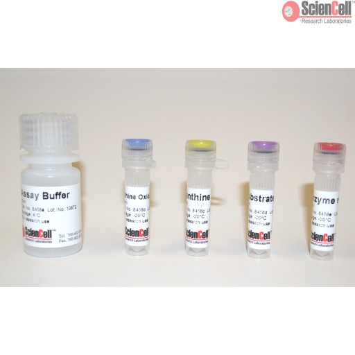 is ipamorelin prohibited import australia Peptides in Australia: What you need to know is ipamorelin prohibited import australia Peptides in Australia: What you need to know