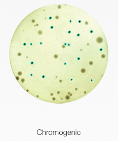 Chromogenic agar