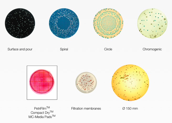colony counting colony counting