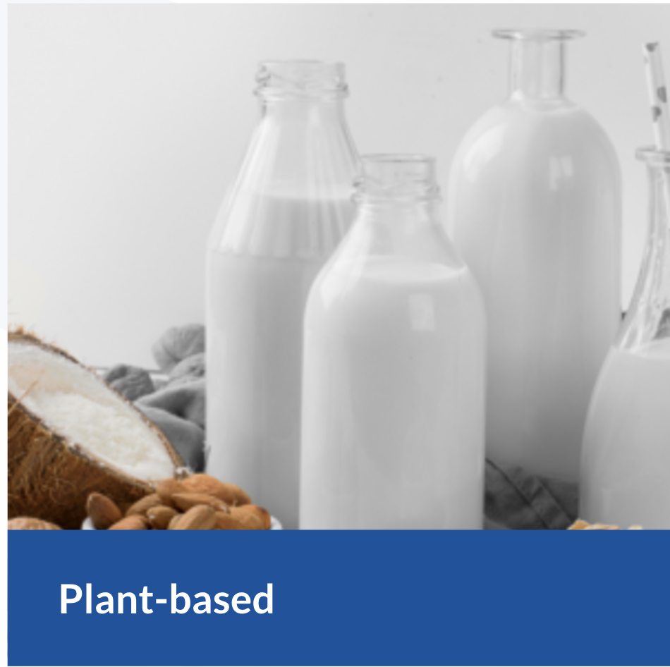 OMVE Plant Based Product Processing Equipment